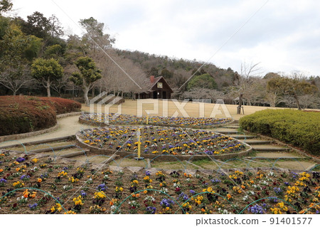非常漂亮的公園 91401577