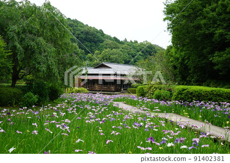 Nishiyama Satotogen Nishiyama Satotogen 91402381