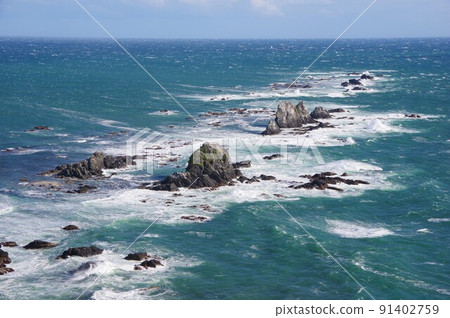 Reefs at Cape Erimo, Hokkaido 91402759