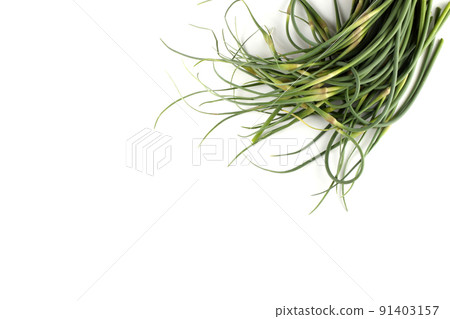 Garlic arrows Garlic arrows 91403157