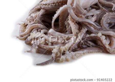 Squid tentacles Squid tentacles 91403222
