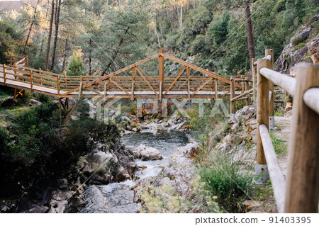 Wood bridge over a river on a forest Wood bridge over a river on a forest 91403395