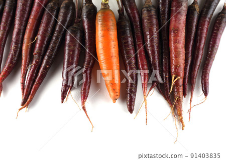 Orange and violet carrots Orange and violet carrots 91403835