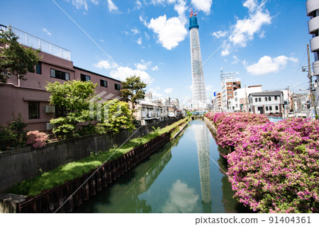 東京天空樹正在建設中 東京天空樹正在建設中 91404361