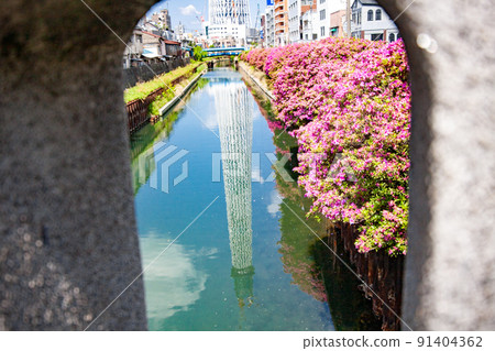 東京天空樹正在建設中 東京天空樹正在建設中 91404362