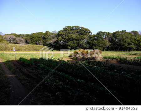 森山城跡 91404552