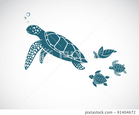 Vector of turtles family design on white background. Easy editable layered vector illustration. Undersea Animals. 91404672