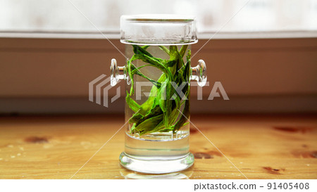 Green Chinese tea taiping houkui or Peaceful monkey leader brewed in glass Tea flask 91405408