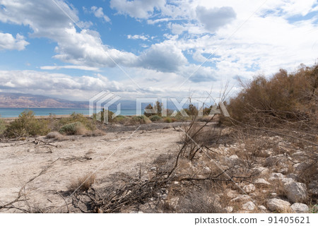 Storm and rain at Dead Sea coastline. Salt crystals at sunset. Texture of Dead sea. Salty seashore 91405621
