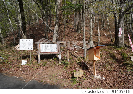 群馬縣綠市從群馬山脊赤屋潮盛開的五條丸山群馬山脊登山口附近攀登 2022 年 5 月 6 日 91405716