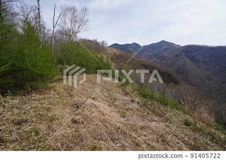 Gunma Prefecture, Akayashio blooming from the county ridge, Maruyama, a plateau near Yae Kabahara, May 6, 2022 91405722