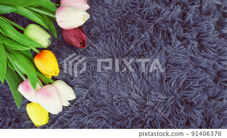 tulip flowers bouquet with space copy on purple background tulip flowers bouquet with space copy on purple background 91406376