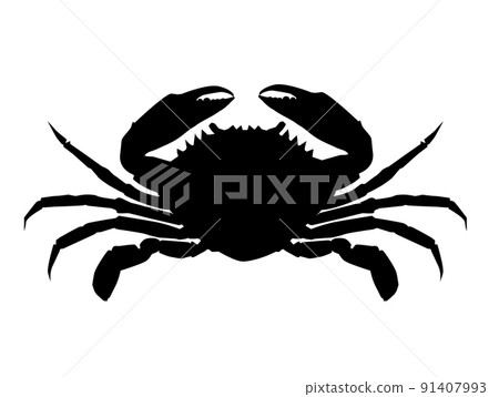 realistic crab on white background. silhouette of brown crab. crab sign. flat style. 91407993