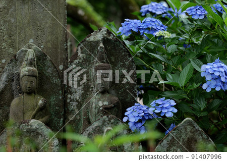 Stone Buddha and hydrangea flowers Stone Buddha and hydrangea flowers 91407996