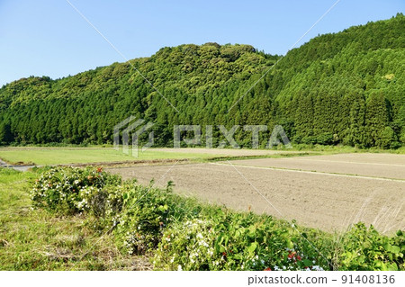 佐賀縣伊万里市大川町小牧周邊農田 91408136