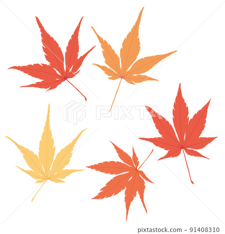 Illustration of flat Japanese maple leaves Illustration of flat Japanese maple leaves 91408310