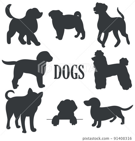 Dogs set black silhouette on white background 91408316