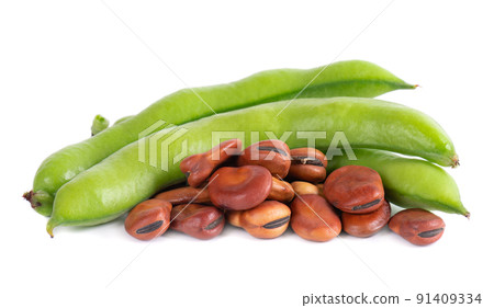 Fresh broad beans in pods, isolated on white background. Dry fava beans. 91409334