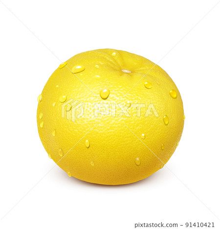 Grapefruit illustration real Grapefruit illustration real 91410421