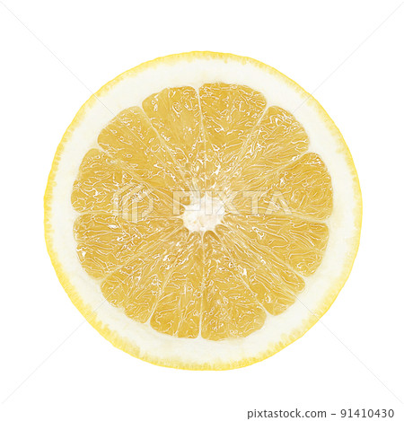 Grapefruit illustration real 91410430