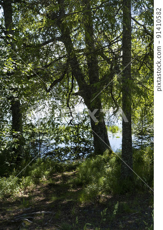 Scandinavian landscape lake Norway Scandinavia Scandinavian landscape lake Norway Scandinavia 91410582
