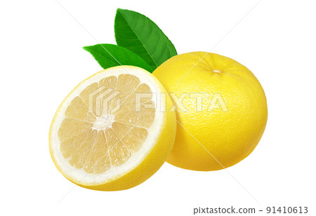 Grapefruit illustration real set Grapefruit illustration real set 91410613