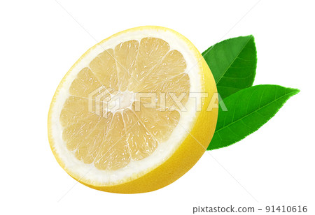 Grapefruit illustration real set Grapefruit illustration real set 91410616