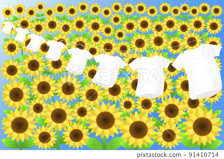 Summer image. Dry the laundry on the sunflower field. 91410714