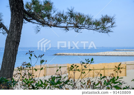 兵庫林崎松江海岸 兵庫林崎松江海岸 91410809
