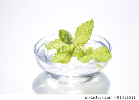 Mint herb apple mint medicinal plant image material mint water 91411611