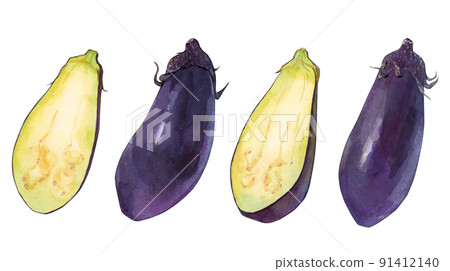 茄子水彩插圖 91412140
