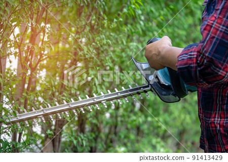 Gardener holding electric hedge trimmer to cut the treetop in garden. 91413429