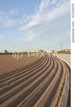 Agriculture field prepared for planting Agriculture field prepared for planting 91414030