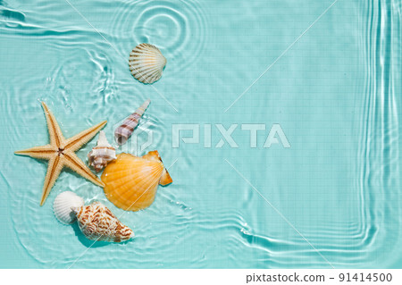 Starfish and seashell in water. Summer background. Summer time. Starfish and seashell in water. Summer background. Summer time. 91414500