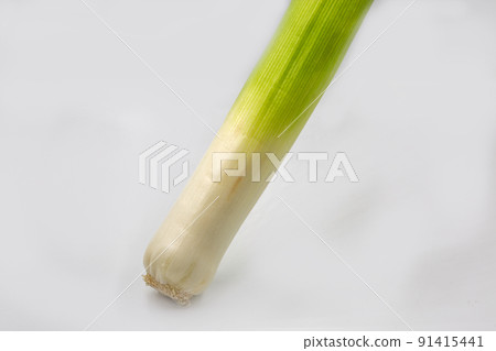 Fresh leek on white background Fresh leek on white background 91415441
