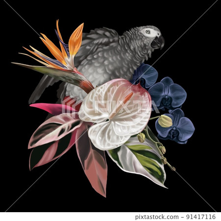 Bird of Paradise. Tropical bouquet. grey parrot, strelitzia, anthurium and orchids. Realistic illustration Bird of Paradise. Tropical bouquet. grey parrot, strelitzia, anthurium and orchids. Realistic illustration 91417116
