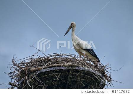 [Hyogo] Asago City, Wadayama, Stork Artificial Nest Tower 91417682