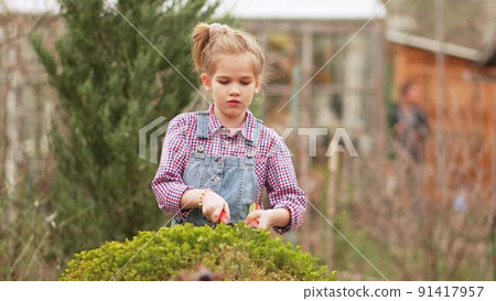a funny little girl cuts bushes in the garden with large pruner. a funny little girl cuts bushes in the garden with large pruner. 91417957
