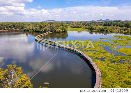 Nong Yai Pond and Wooden Bridge in Chumphon, Thailand 91418999