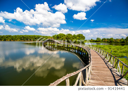 Nong Yai Pond and Wooden Bridge in Chumphon, Thailand 91419441