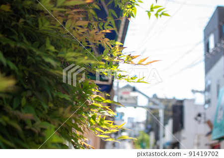 Yanaka Ginza / Taito-ku, Tokyo Yanaka Ginza / Taito-ku, Tokyo 91419702