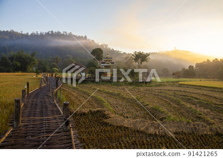 Beautiful morning light, Boon Kho Ku So Bridge is located in Pam Bok Village. 91421265