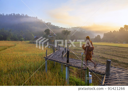 Beautiful morning light, Boon Kho Ku So Bridge is located in Pam Bok Village. 91421266