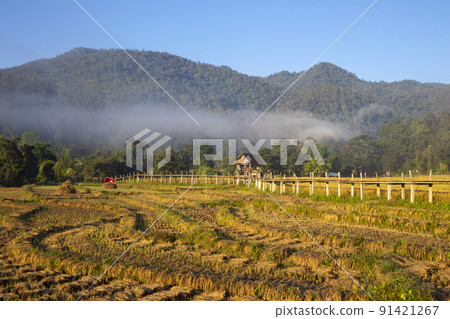Beautiful morning light, Boon Kho Ku So Bridge is located in Pam Bok Village. 91421267