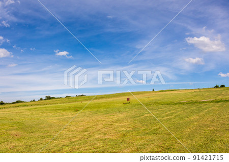 Summer Tsumagoi Village Baragi Plateau Summer Tsumagoi Village Baragi Plateau 91421715