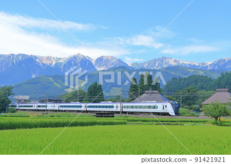Oito Line Limited Express Azusa going to the foot of Mt. Hakuba in midsummer 91421921