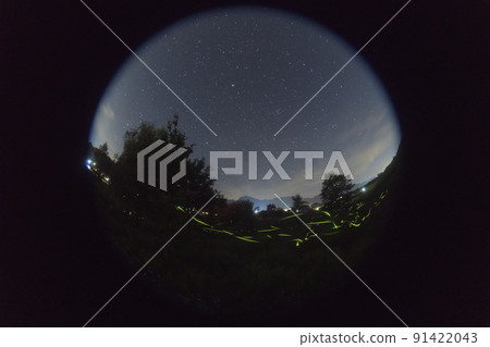 Hakushu-cho, Hokuto City, summer evening with fireflies dancing in the summer starry sky (circumferential fisheye) 91422043