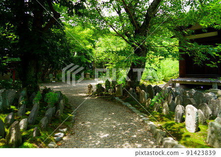 奈良町、元興寺、禪室、石佛群 奈良町、元興寺、禪室、石佛群 91423839