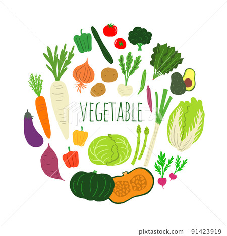 蔬菜的例證 91423919