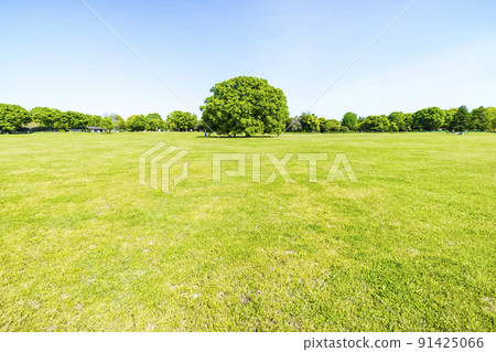 與綠色和藍天的風景 91425066